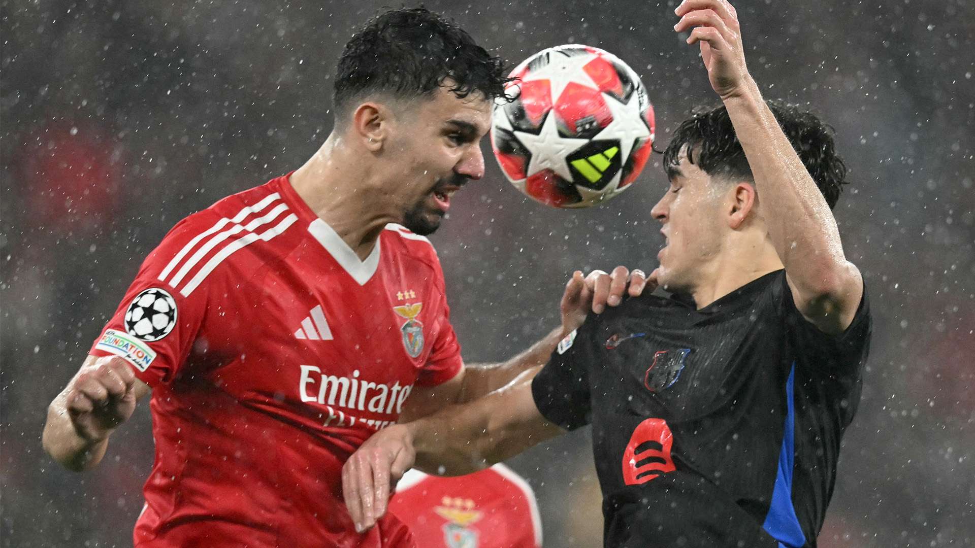 都是奇克在 都是奇克在